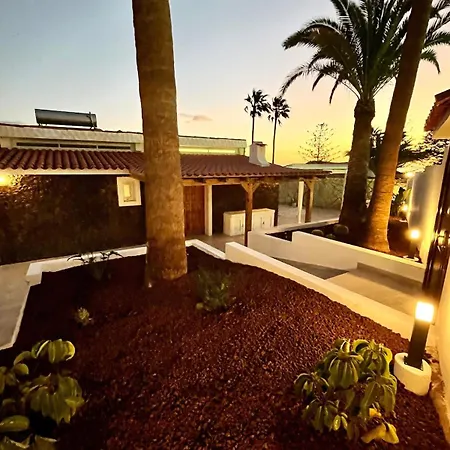 فيلة Stone